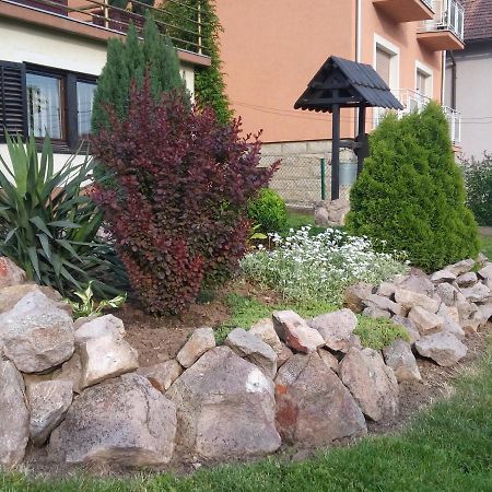Apartment Flora Arandelovac Exterior photo